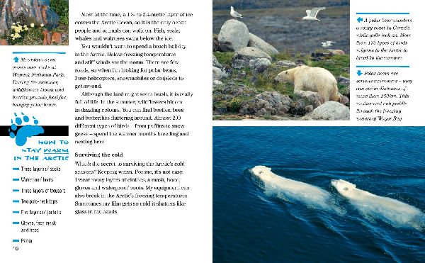 NAT GEO READER POLAR BEARS