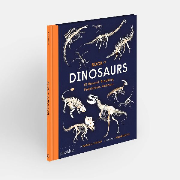 Book of Dinosaurs
