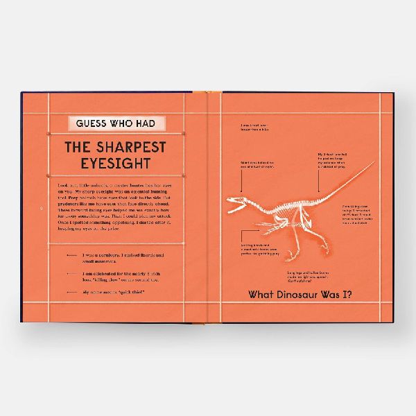 Book of Dinosaurs