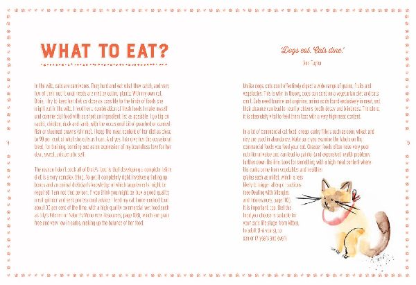Cooking for Cats