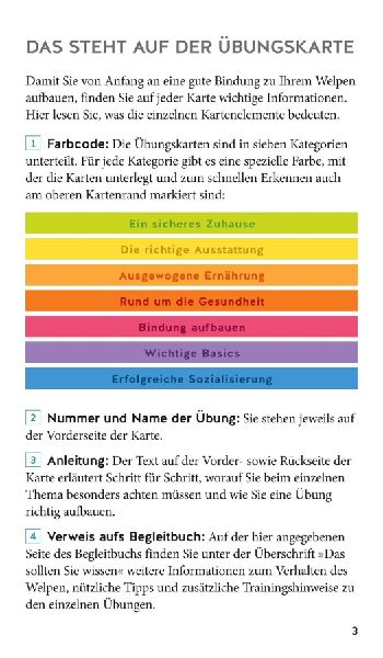 Welpen-Starter-Box