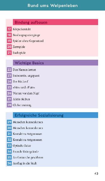 Welpen-Starter-Box