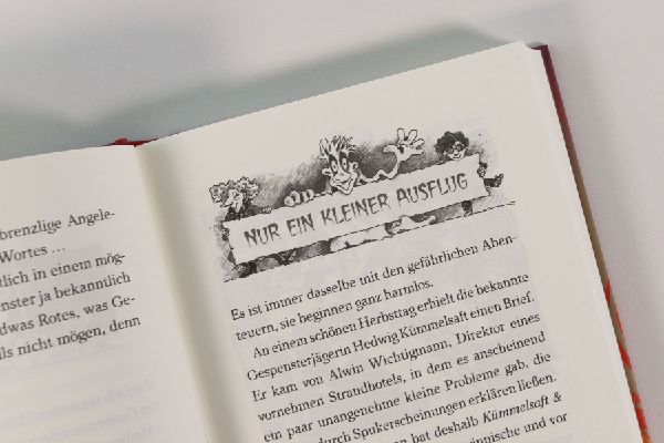 Gespensterjäger im Feuerspuk (Band 2) - Mit 8 neu illustrierten Farbseiten