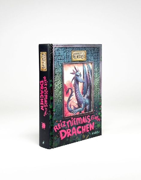 Reiz niemals einen Drachen (Band 2)