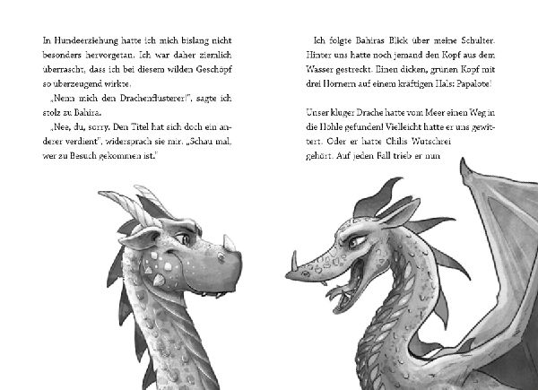 Reiz niemals einen Drachen (Band 2)