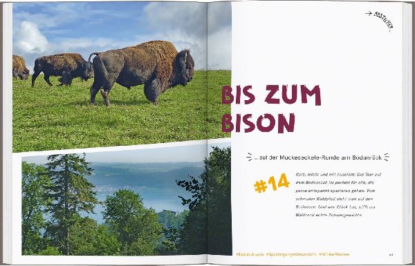 52 kleine & große Eskapaden am und um den Bodensee