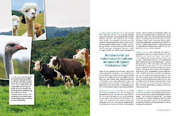 Land & lecker Band 7