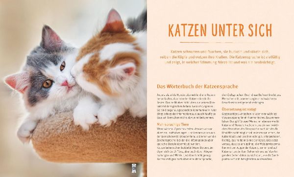 Katzensprache