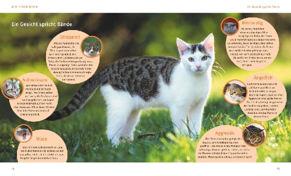 Katzensprache