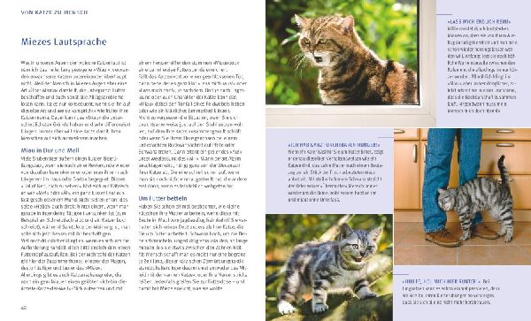 Katzensprache