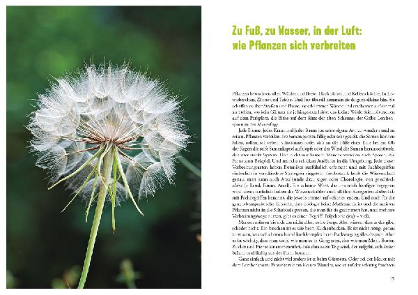 Selbst ist die Pflanze