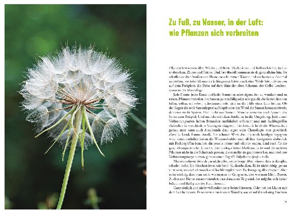 Selbst ist die Pflanze