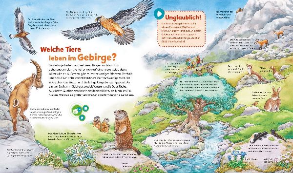 BOOKii® WAS IST WAS Junior Erlebe die Natur!