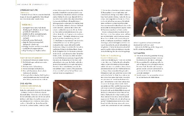 Das große Buch vom Yoga