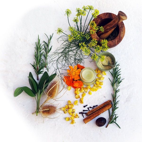 Einfach gesund. Das Hildegard von Bingen Gesundheitsbuch