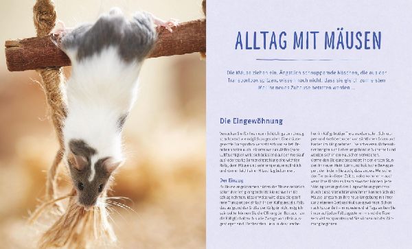Mäuse