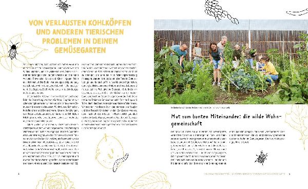 Wer knabbert da an meinem Gemüse?