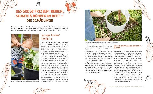 Wer knabbert da an meinem Gemüse?