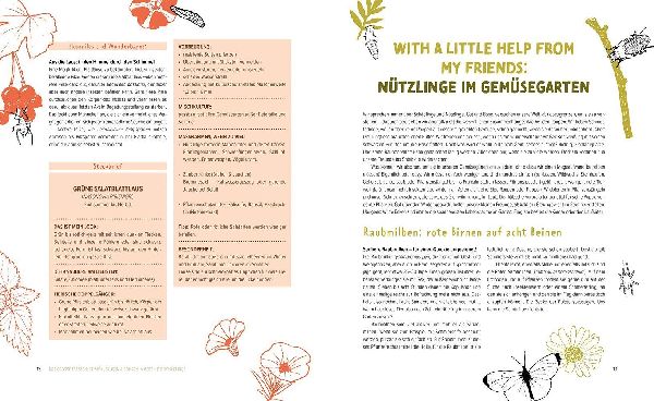 Wer knabbert da an meinem Gemüse?