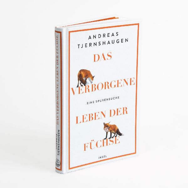 Das verborgene Leben der Füchse