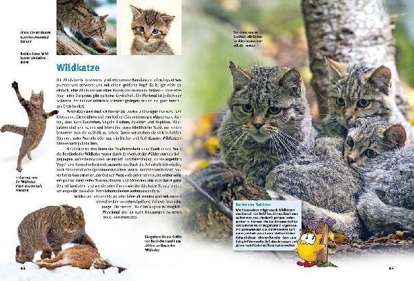 Entdecke heimische Wildtiere