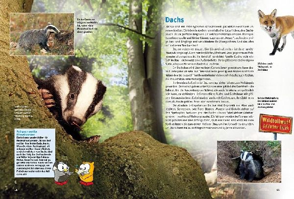 Entdecke heimische Wildtiere