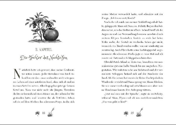 Ruby Fairygale (Band 5) - Der verbotene Zauber