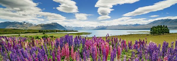 Lake Tekapo. Puzzle 1000 Teile