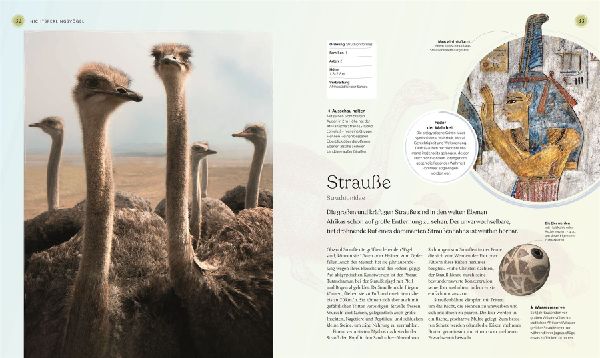 Vögel - Eine Natur- und Kulturgeschichte
