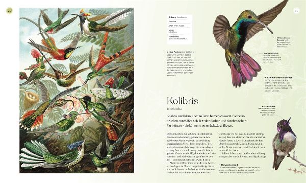 Vögel - Eine Natur- und Kulturgeschichte