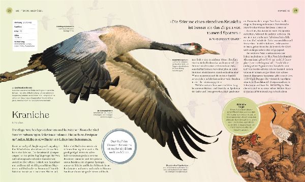 Vögel - Eine Natur- und Kulturgeschichte