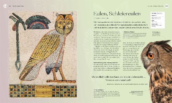 Vögel - Eine Natur- und Kulturgeschichte