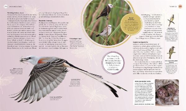 Vögel - Eine Natur- und Kulturgeschichte