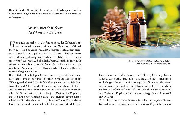 Das kleine Buch: Das Geheimnis der Zirbe