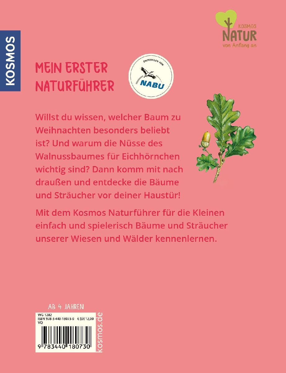Mein erster Naturführer, Welcher Baum ist das?