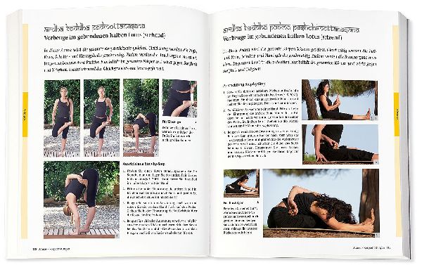 Yoga - Das große Praxisbuch für Einsteiger & Fortgeschrittene