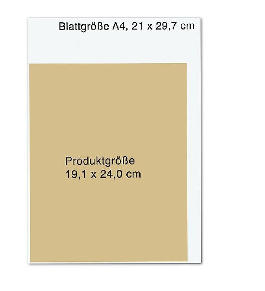 Yoga - Das große Praxisbuch für Einsteiger & Fortgeschrittene