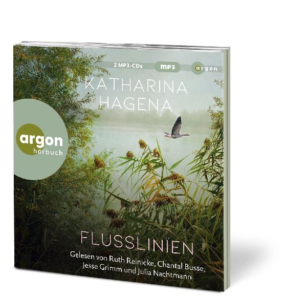 Flusslinien
