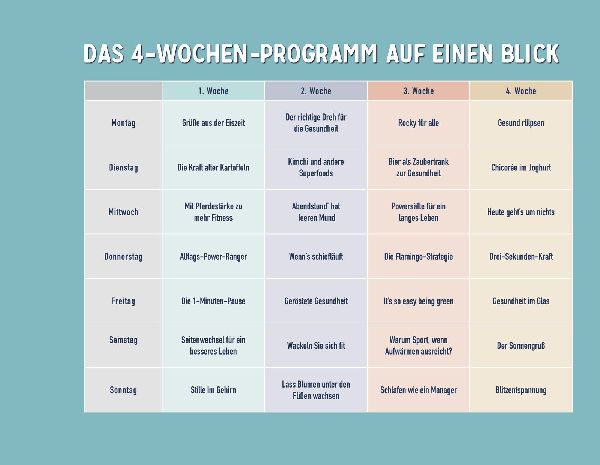 Die 1-Minuten-Strategie