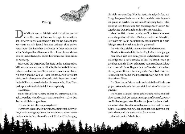 Wild is the Witch. Verfluchte Nähe