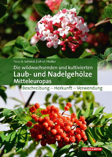 Die wildwachsenden und kultivierten Laub- und Nadelgehölze Mi...