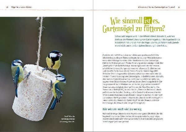 Vögel füttern im Garten