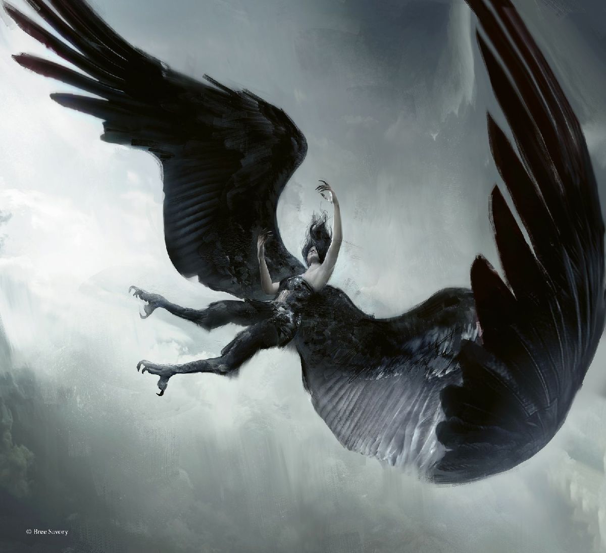 A Whisper of Wings