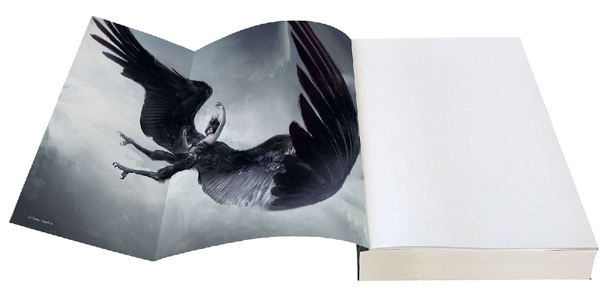 A Whisper of Wings