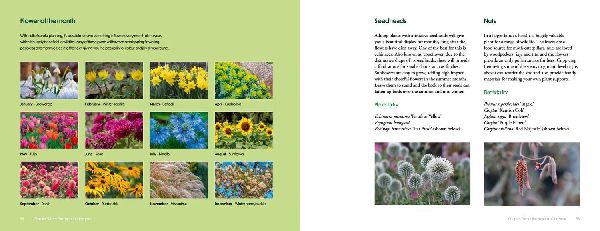 How to Create Beautiful Flowerbeds and Borders