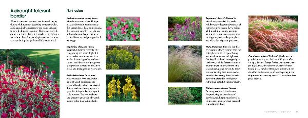 How to Create Beautiful Flowerbeds and Borders