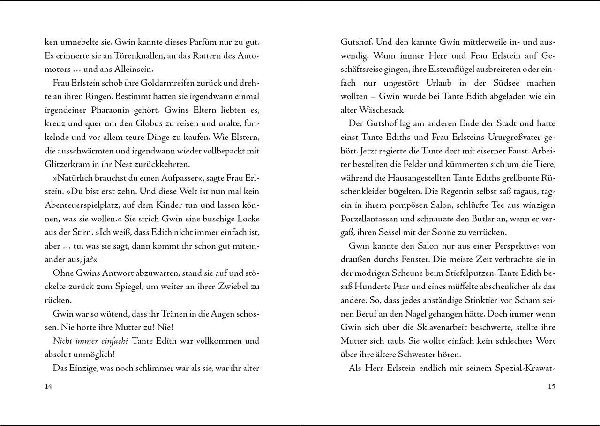 Gwin und das Herz des Drachen (Band 1)