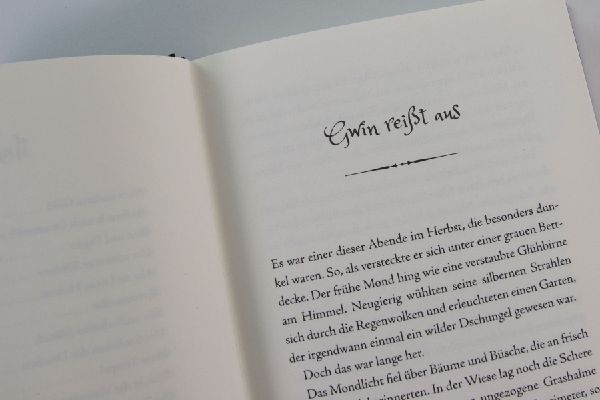 Gwin und das Herz des Drachen (Band 1)