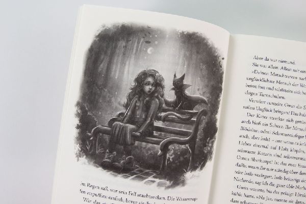 Gwin und das Herz des Drachen (Band 1)