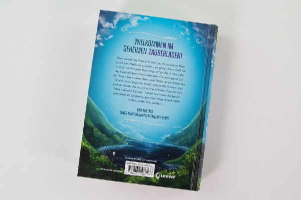 Gwin und das Herz des Drachen (Band 1)